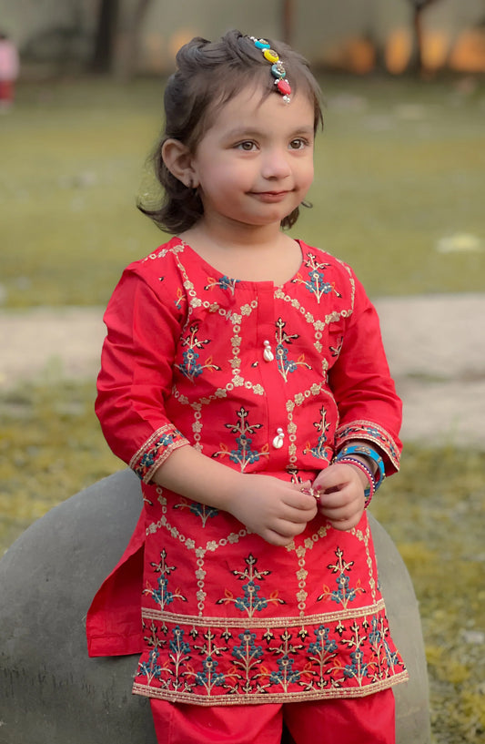 Tomato Red Embroidered 2Pcs Suit KST 083 KHN26NZ