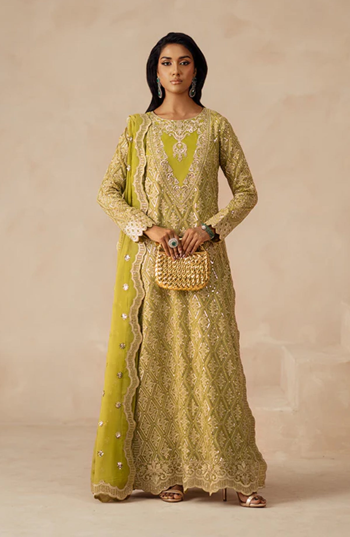 Mehrun by Freesia Luxury Embroidered Chiffon Unstitched 3 Piece Suit - SYRA - FSU5617 - FS25MHR - Dhani - Formals Collection