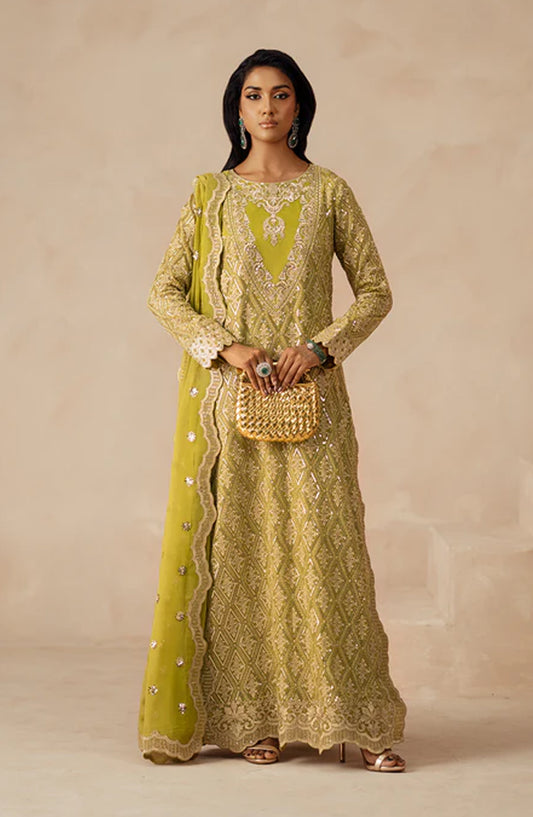 Mehrun by Freesia Luxury Embroidered Chiffon Unstitched 3 Piece Suit - SYRA - FSU5617 - FS25MHR - Dhani - Formals Collection