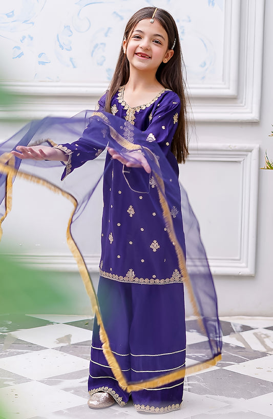 Blue Rawsilk Embroidered 3 Piece Gharara - Blue - 10450-Blu MOD26MT - Festive Collection