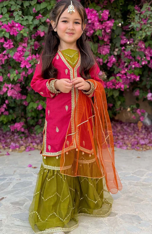Modest Embroidered Raw Silk Stitched 3 Piece - Noorani - MD25F - Festive Collection