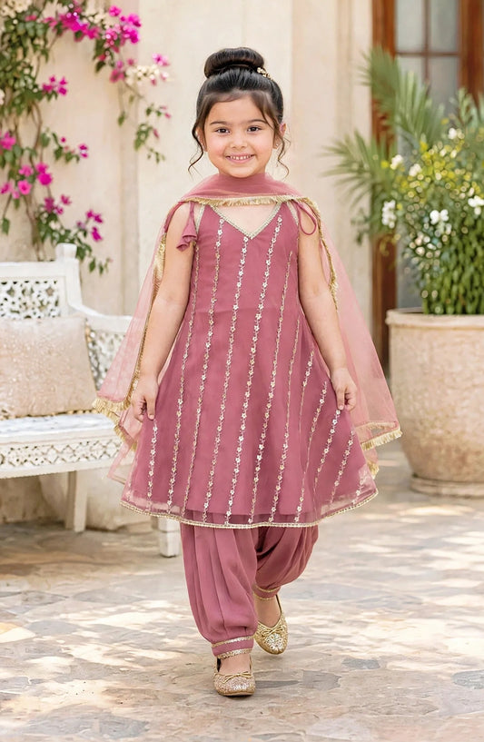 3 Piece Net Embroidered Pink Frock - 11300-Pnk - MOD26TWF - Festive Collection