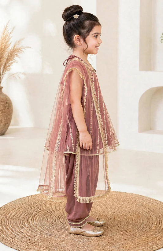 3 Piece Net Embroidered Tea Pink Suit - 11300-TPnk - MOD26TWF - Festive Collection