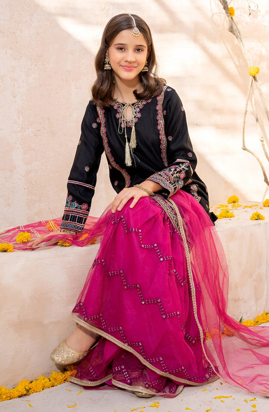 Rawsilk Embroidered 3 Pc Gharara - Black - 10275-Blk MOD26MT - Festive Collection