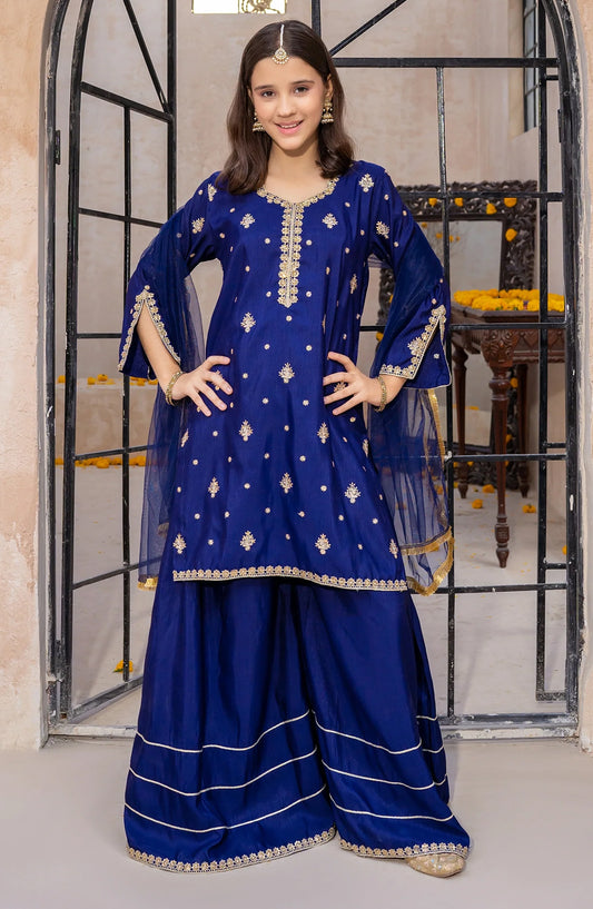 Blue Rawsilk Embroidered 3 Piece Gharara - Blue - 10450-Blu MOD26MT - Festive Collection