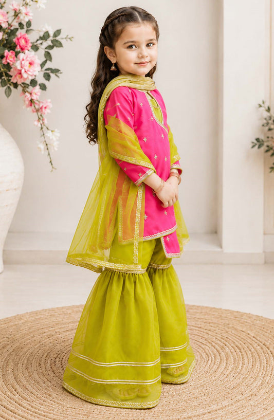 Modest Embroidered Raw Silk Stitched 3 Piece Suit - 9655-HPnk - MOD25PRF - Pink - Festive Girls Collection