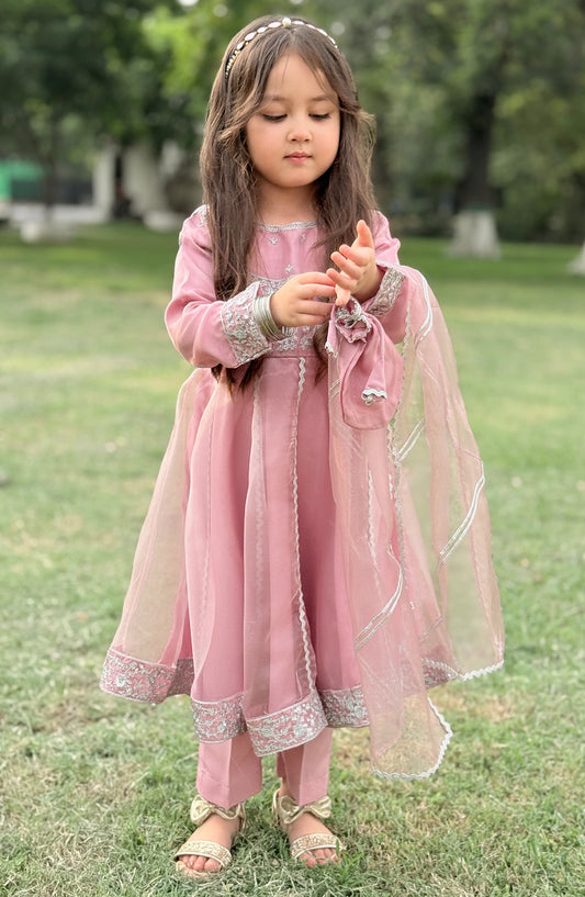 3 Piece Tissue Pink Embroidered Frock - Pink - 10315-Pnk MOD26MT - Festive Collection