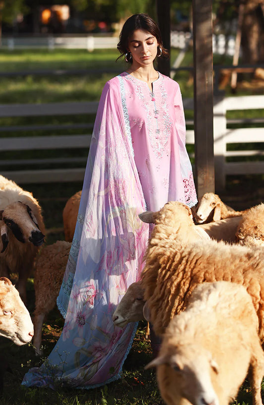 Mushq Solace Ombre Embroidered Lawn Unstitched 3 Piece Suit - Faint Blossom - MQ26OMB - Pink and Blue - Summer Collection