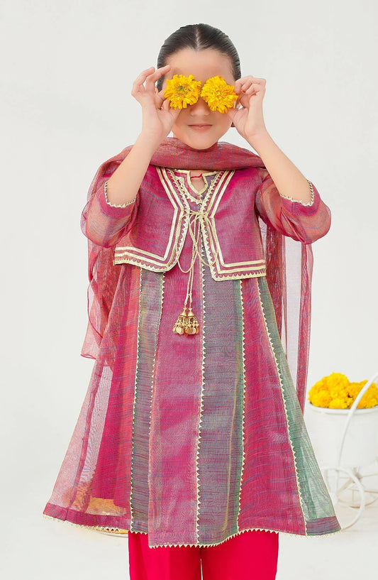 Ochre Embroidered Khaddi Net Stitched 3 Piece Suit - INMHD-10 - OCH25VEL - Pink - Girls Festive Collection