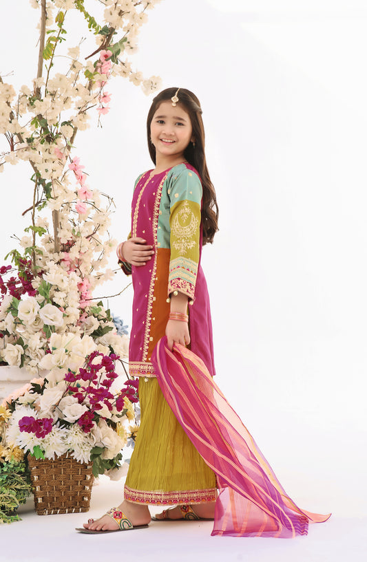 Fresh Birds Embroidered Raw silk Stitched 3 Piece Suit - Opal - FBR26FS - Multi - Festive Girls Collection