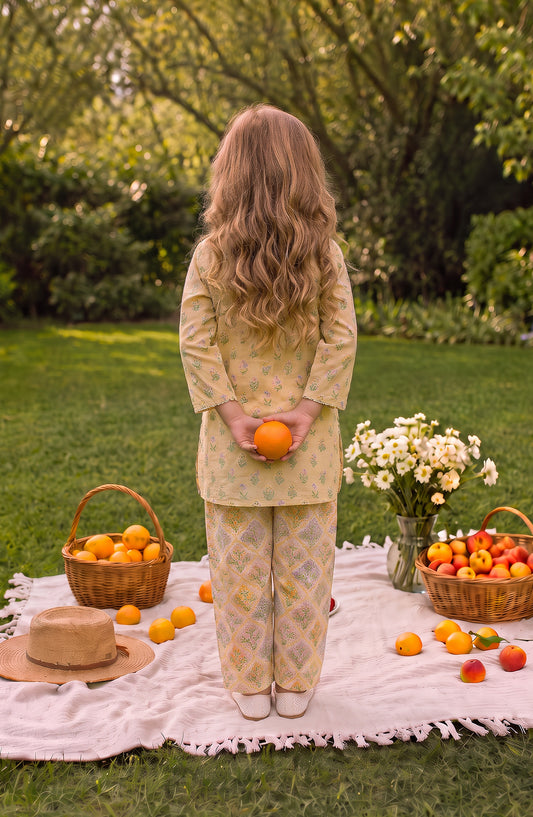 Parchhai by Amna Khadija Printed Cotton Stitched 2 Piece Co-ord Set - AKP-10D - AM26PRCH - Yellow - Summer Girls Collection