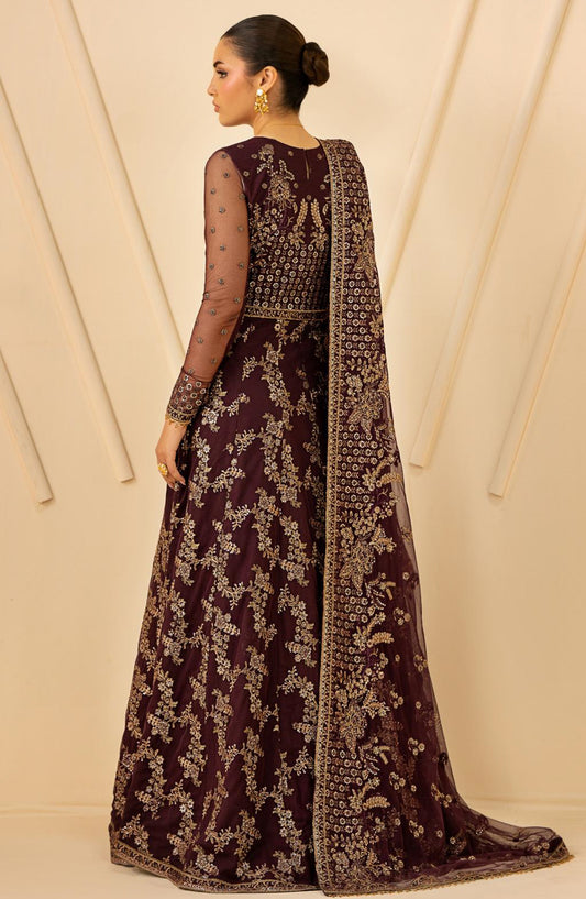 net dress designs in pakistan 53 Best Net dresses pakistani ideas