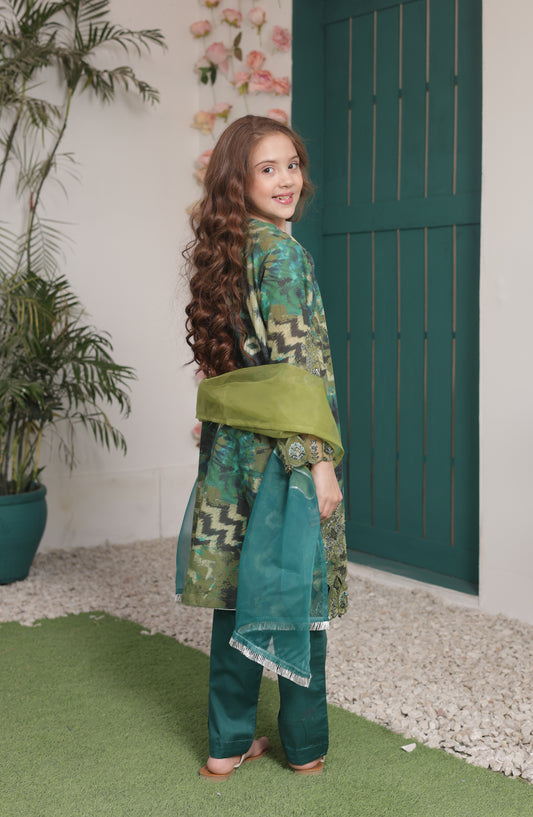 Shanzey Bahar-e-Eid Embroidered Shimmered Cambric Stitched 3 Piece Suit - SHK-5205 - SHZ26BHR - Green - Festive Collection