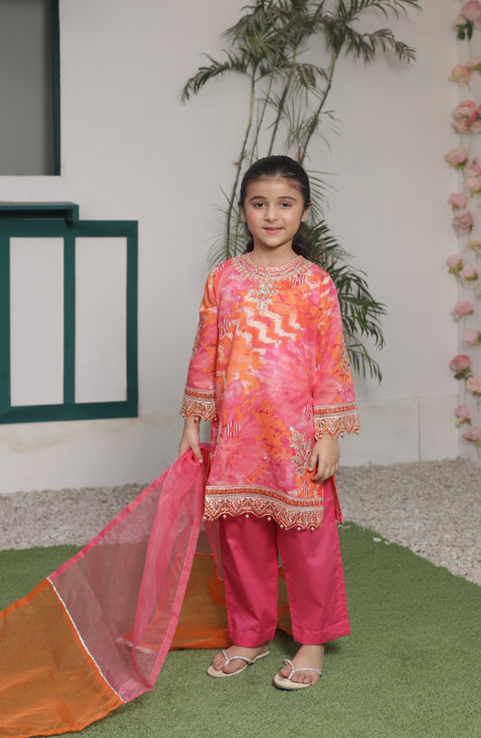 Shanzey Bahar-e-Eid Embroidered Shimmered Cambric Stitched 3 Piece Suit - SHK-5204 - SHZ26BHR - Pink - Festive Collection