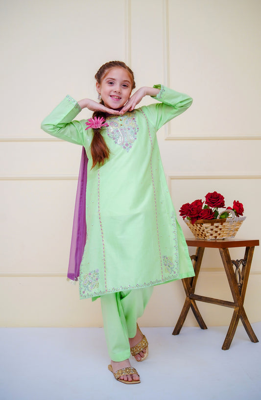 Shanzey Embroidered Cotton Stitched 3 Piece Suit - SHK-4602 - SHZ25CBR - Pista Green - Girls Summer Collection