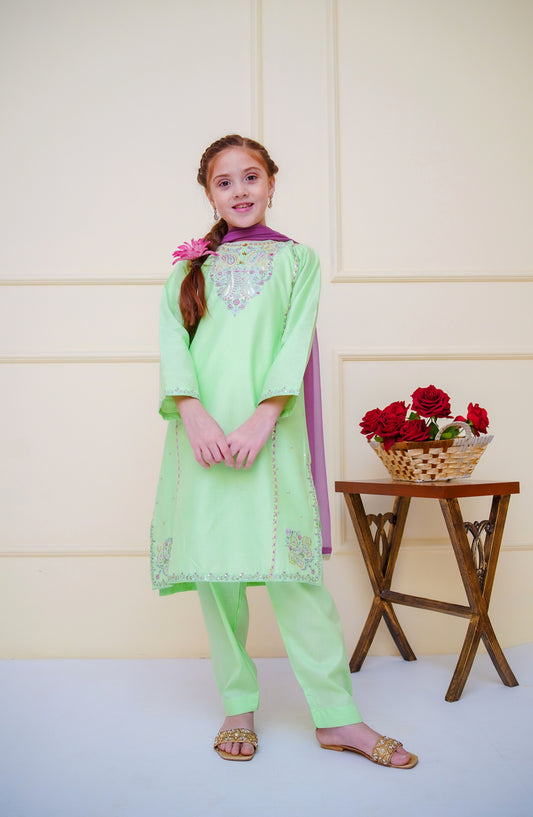 Shanzey Embroidered Cotton Stitched 3 Piece Suit - SHK-4602 - SHZ25CBR - Pista Green - Girls Summer Collection