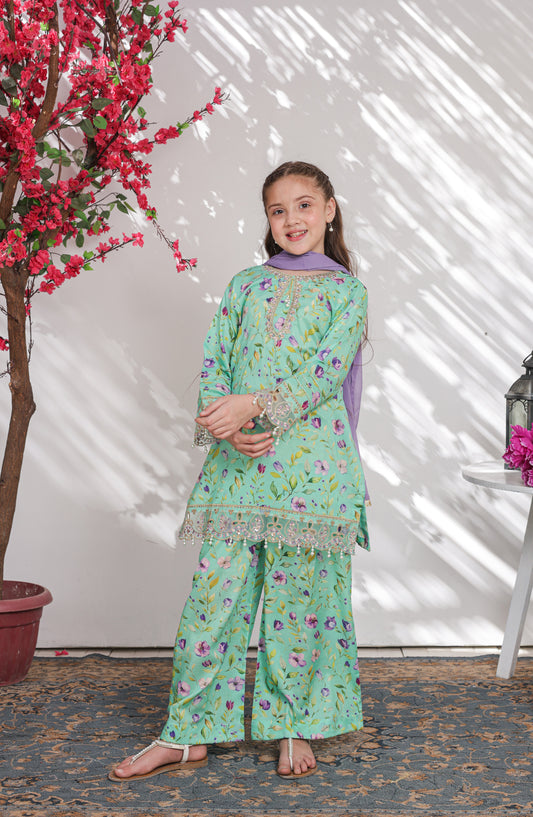 Shanzey Embroidered Lawn Stitched 3 Piece Suit - SHK-6302 - SHZ26CRD - Mint - Summer Collection