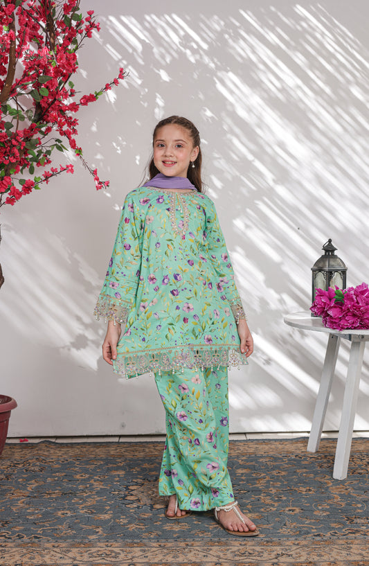 Shanzey Embroidered Lawn Stitched 3 Piece Suit - SHK-6302 - SHZ26CRD - Mint - Summer Collection