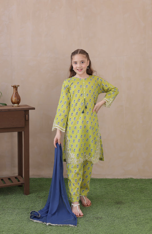 Shanzey Embroidered Lawn Stitched 3 Piece Suit - SHK-6402 - SHZ26LWC - Apple Green - Summer Girls Collection