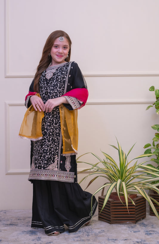 Shanzey Embroidered Organza Stitched 3 Piece Suit - SHK-5106 - SHZ26FOR - Black - Formal Collection