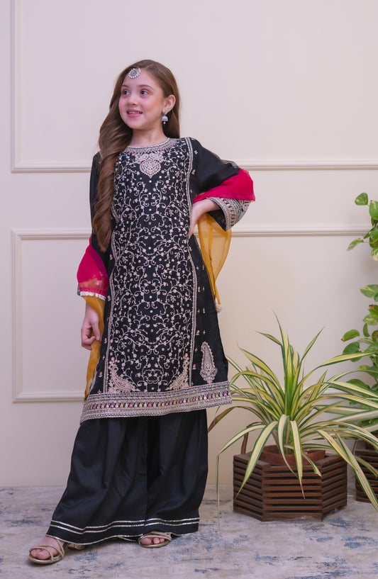 Shanzey Embroidered Organza Stitched 3 Piece Suit - SHK-5106 - SHZ26FOR - Black - Formal Collection