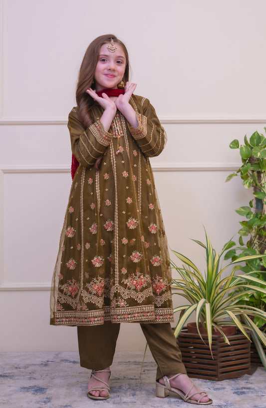 Shanzey Embroidered Organza Stitched 3 Piece Suit - SHK-5102 - SHZ26FOR - Mehendi - Formal Collection