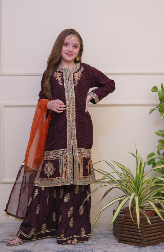 Shanzey Embroidered Organza Stitched 3 Piece Suit - SHK-5006 - SHZ26EST - Burgandi - Festive Collection