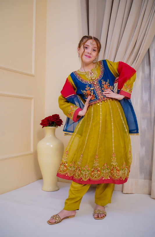 Shanzey Embroidered Organza Stitched 3 Piece Suit - SHK-5002 - SHZ26EST - Mehendi - Festive Collection