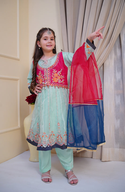 Shanzey Embroidered Organza Stitched 3 Piece Suit - SHK-5001 - SHZ26EST - Mint - Festive Collection
