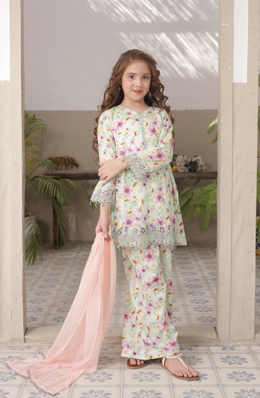 Shanzey Embroidered Lawn Stitched 3 Piece Suit - SHK-5301 - SHZ26LN - Mint - Summer Collection