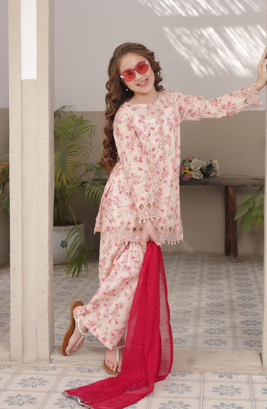 Shanzey Embroidered Lawn Stitched 3 Piece Suit - SHK-5303 - SHZ26LN - Baby Pink - Summer Collection