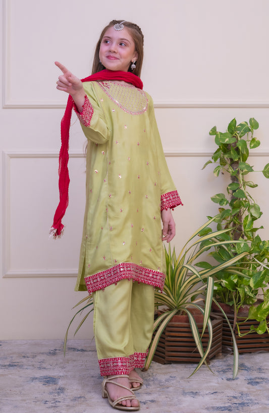 Shanzey Luxe Embroidered Raw Silk Stitched 3 Piece Suit - SHK-4803 - SHZ25LXD - Lime Green - Girls Festive Collection