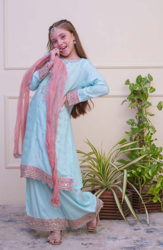 Shanzey Luxe Embroidered Raw Silk Stitched 3 Piece Suit - SHK-4802 - SHZ25LXD - Sky Blue - Girls Festive Collection
