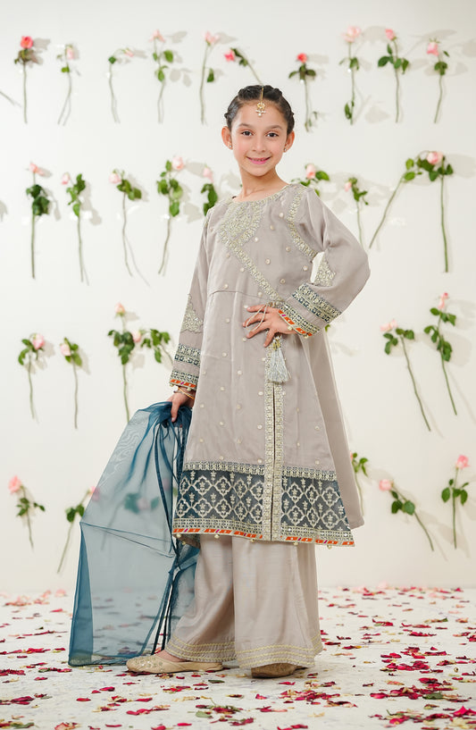 Sunehri by Amna Khadija Embroidered Organza Stitched 3 Piece Suit - SGLF-13 - AM26NHRI - Grey - Girls Festive Collection