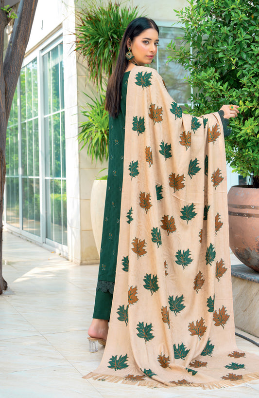 Vasal by Riaz Arts Luxury Embroidered Zari Jacquard Unstitched 3 Piece Suit - Design-06 - RA25VSL - Green - Winter Collection