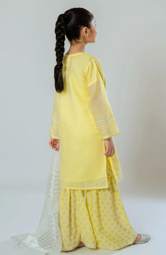 Amna Khadija Shehzadiyan Festive Pret Collection - AKSPF 13
