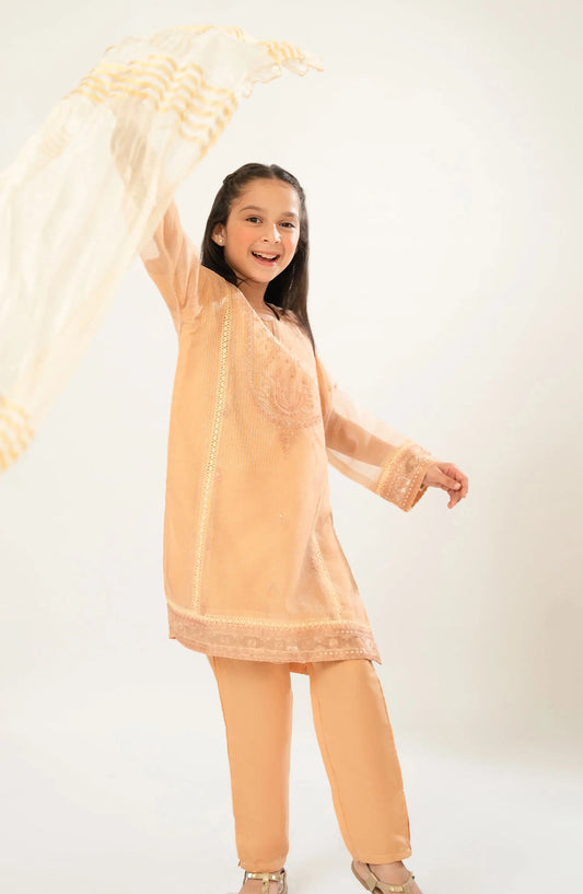 Amna Khadija Shehzadiyan Festive Pret Collection Vol 02 - AKSFP 29