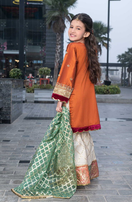 Allys Embroidered Raw Silk Suits Pret AR-83 Orange Festive Collection