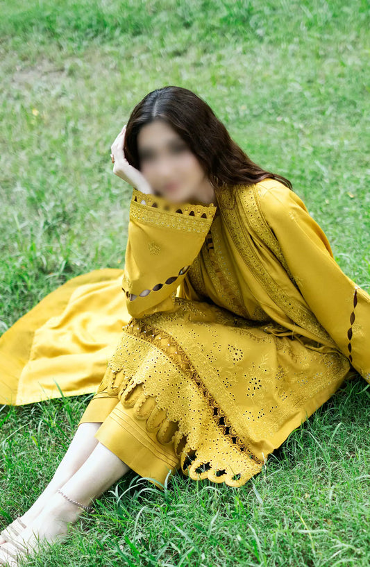 Zephyr Chikankari Wool Collection 2024 - Article 05
