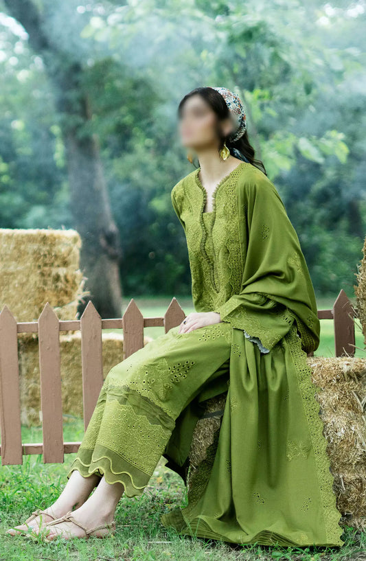 Zephyr Chikankari Wool Collection 2024 - Article 08