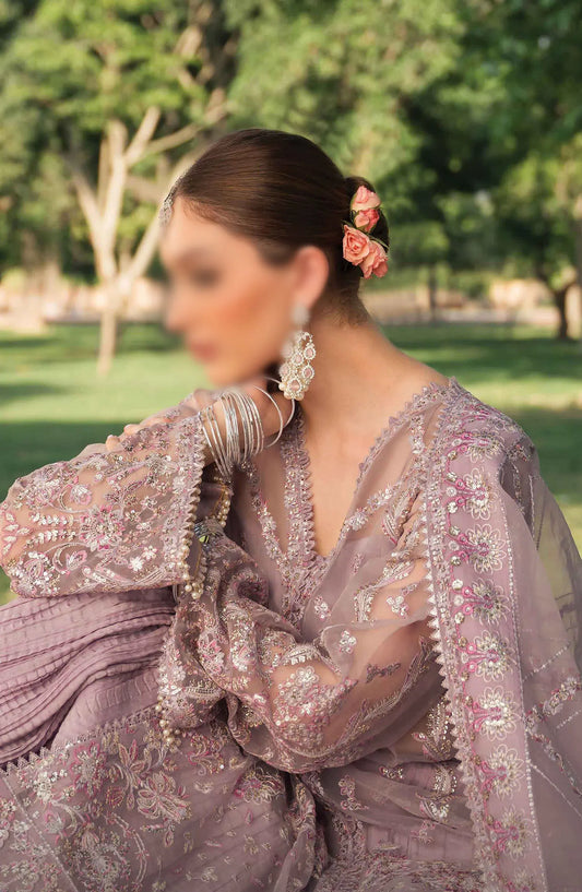 Ayzel Pehli Nazar Festive Chiffon Collection 2024 - AZW-23-24 V2-07 SHEHRAZAD