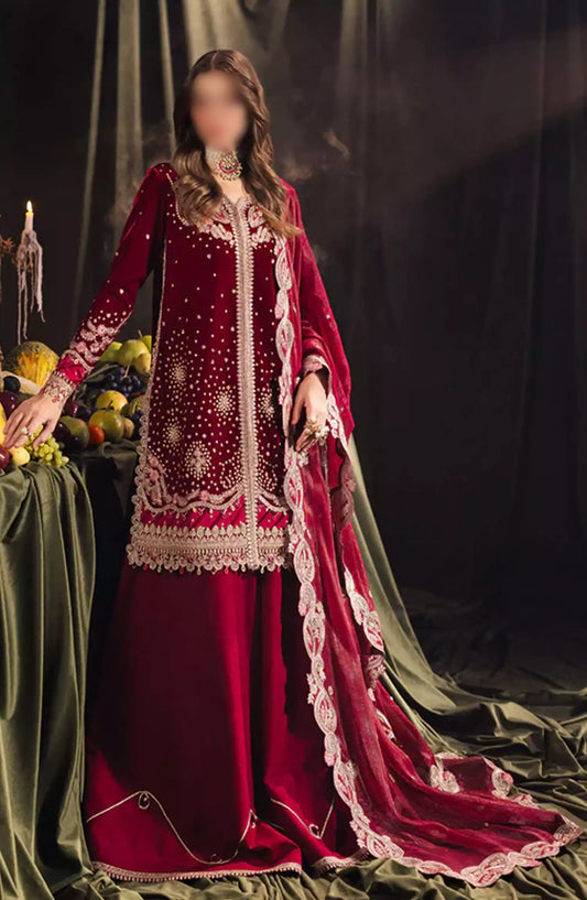 Qalamkar Luxury Velvet Collection 2024 - BK-02 AMARA
