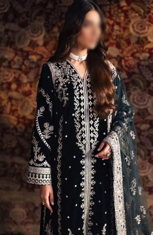 Qalamkar Luxury Velvet Collection 2024 - BK-03 SAMIRA