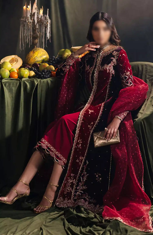 Qalamkar Luxury Velvet Collection 2024 - BK-04 KESIA