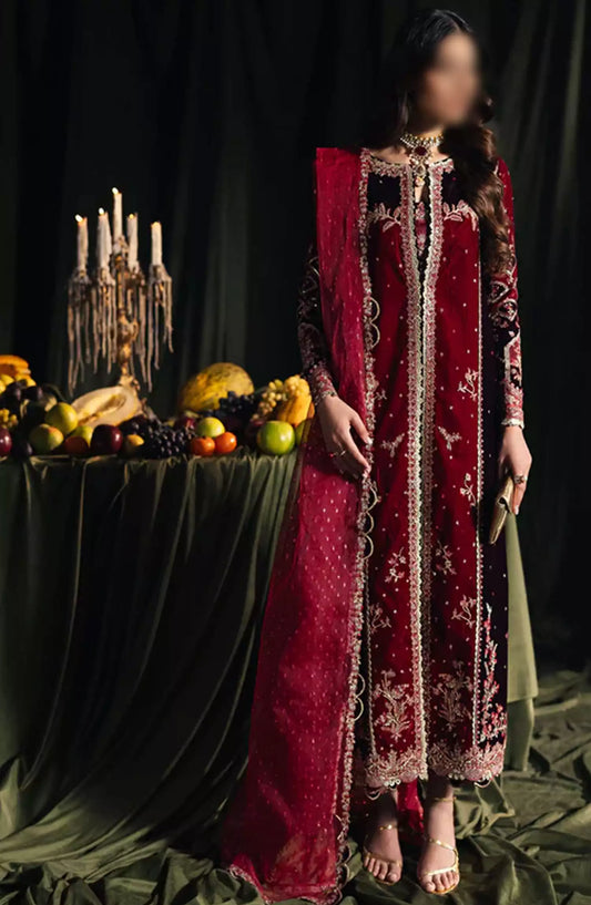 Qalamkar Luxury Velvet Collection 2024 - BK-04 KESIA