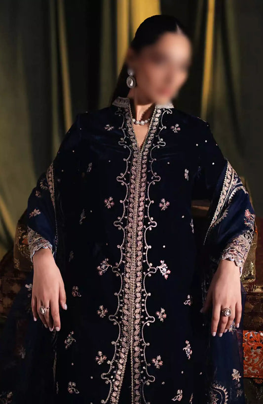 Qalamkar Luxury Velvet Collection 2024 - BK-05 DALIA