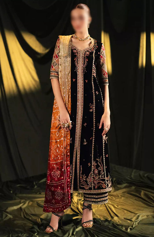 Qalamkar Luxury Velvet Collection 2024 - BK-06 ZOLA