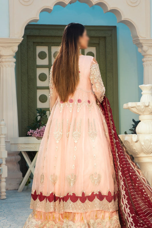 Areesha Luxury Festive Collection Vol 17 - Creamy Peach