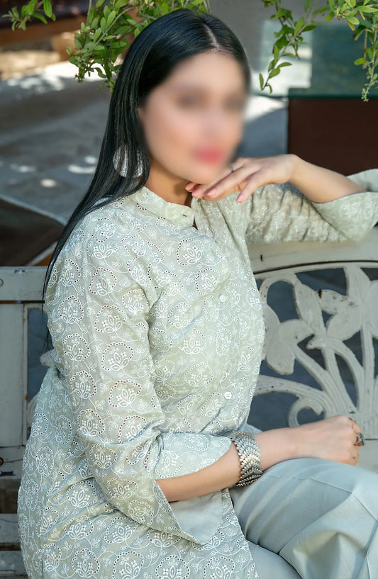 Kiraz Schiffli Jaal Embroidered Slub Lawn 2-pcs Collection 2024 - D 2028