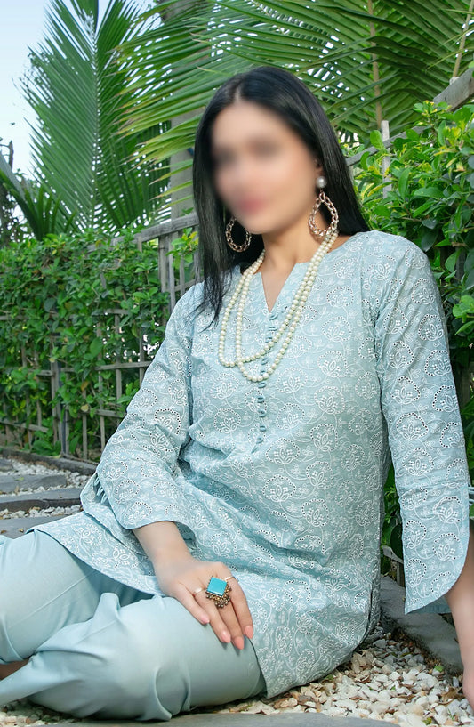 Kiraz Schiffli Jaal Embroidered Slub Lawn 2-pcs Collection 2024 - D 2029